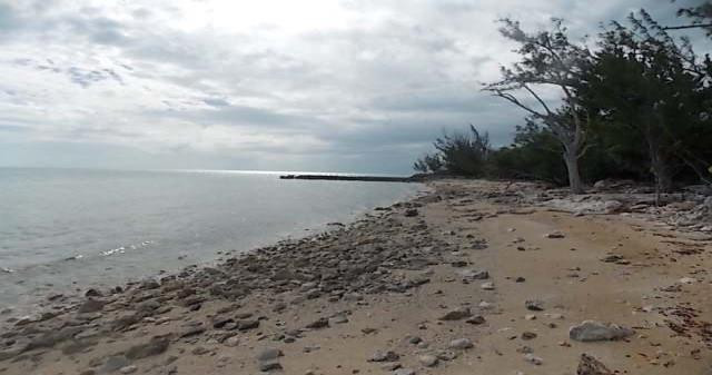 THE CROSSING, LONG ISLAND - Land