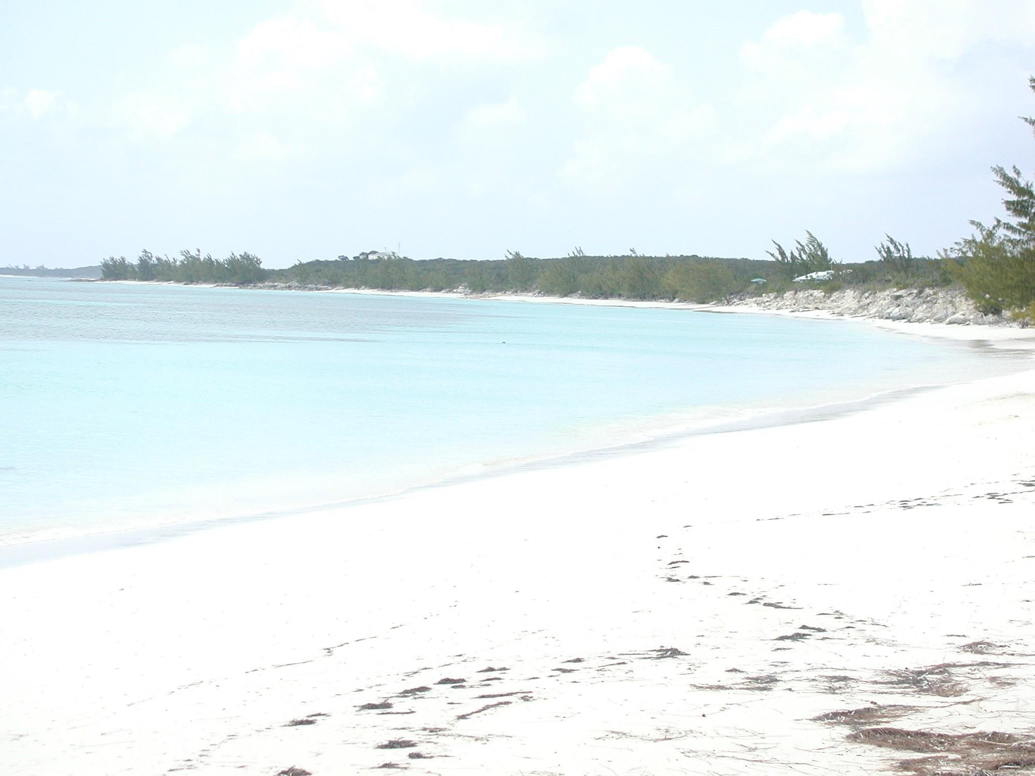 THE CROSSING, LONG ISLAND - Land