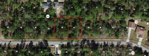 3059 W Eunice Drive Citrus Springs FL 34433