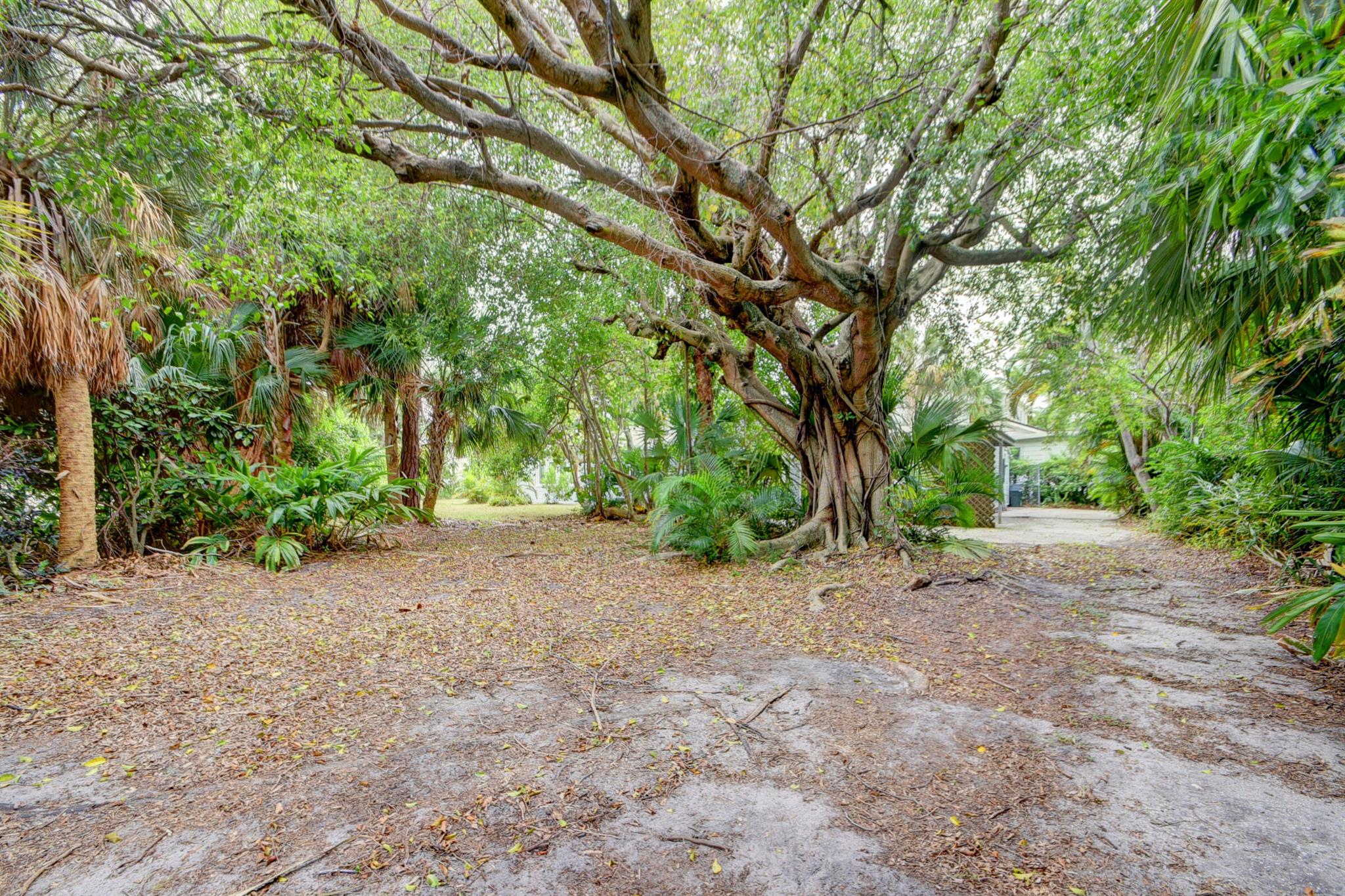 CENTRAL PARK 1 TH PT OF LT 27 LYG W OF W R/W LI OF - Residential Income