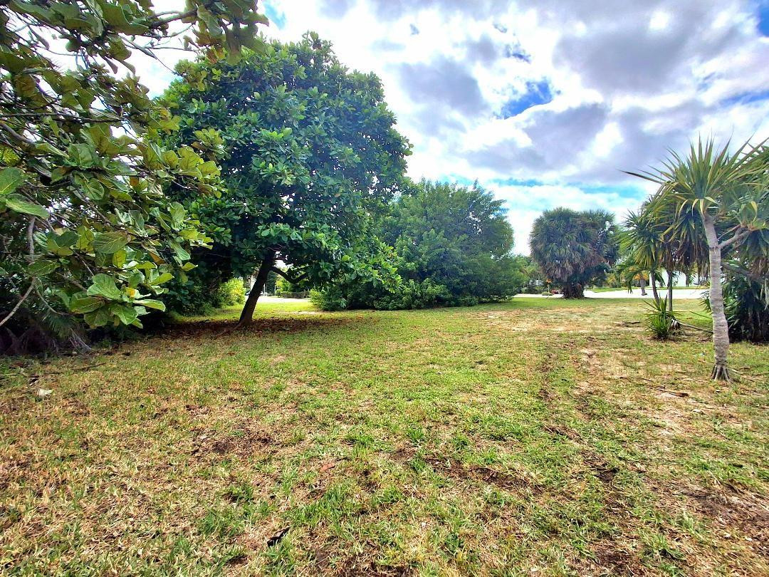 Silver Shores - Land