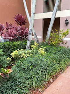 ST ANDREWS AT POLO CLUB CONDO - Residential