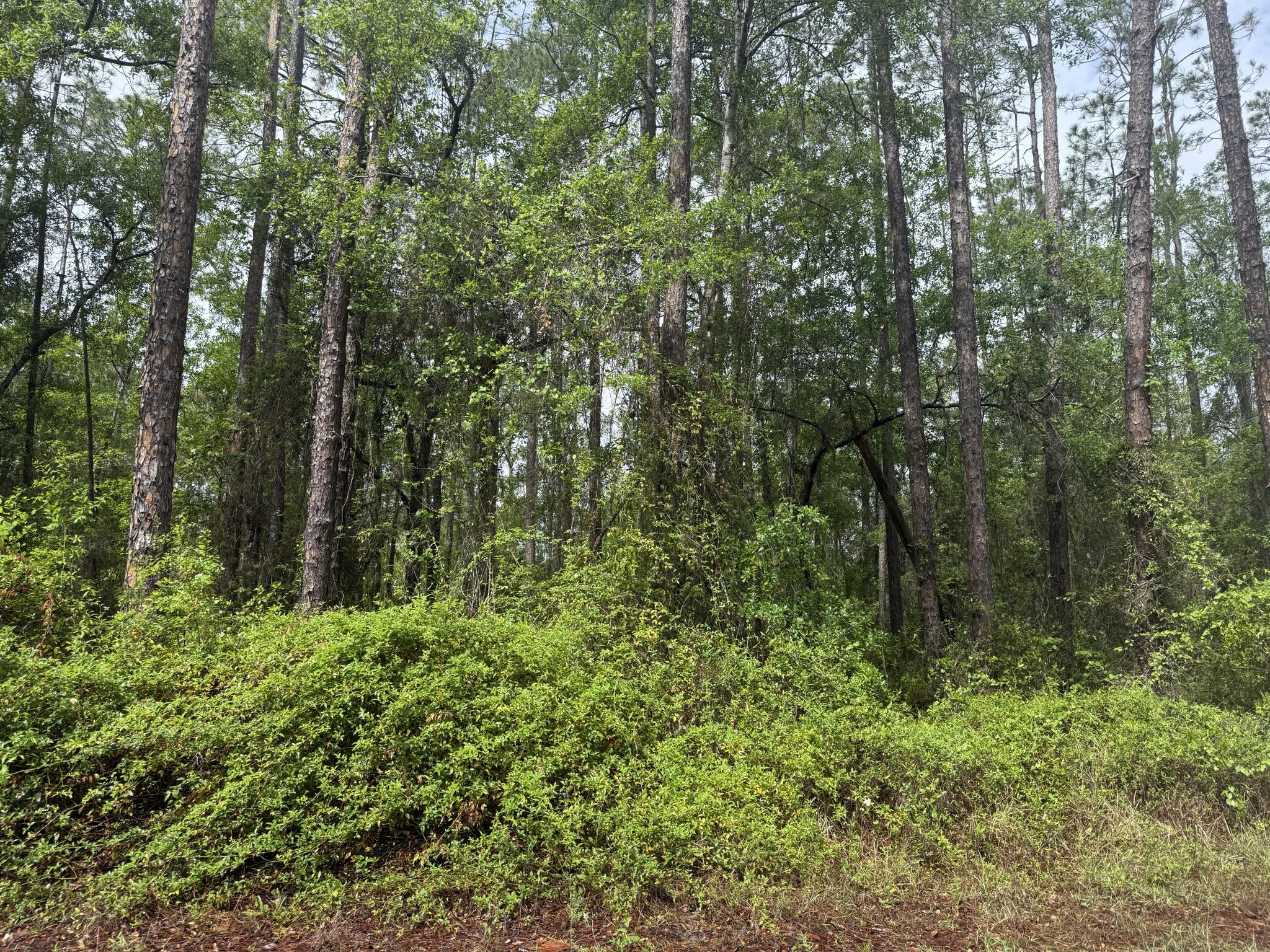 INTERLACHEN LAKES ESTATES - Land