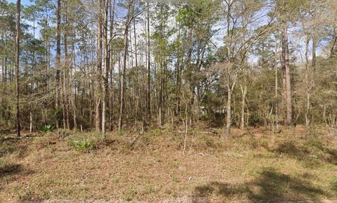 Tbd Seminole Avenue Interlachen FL 32148