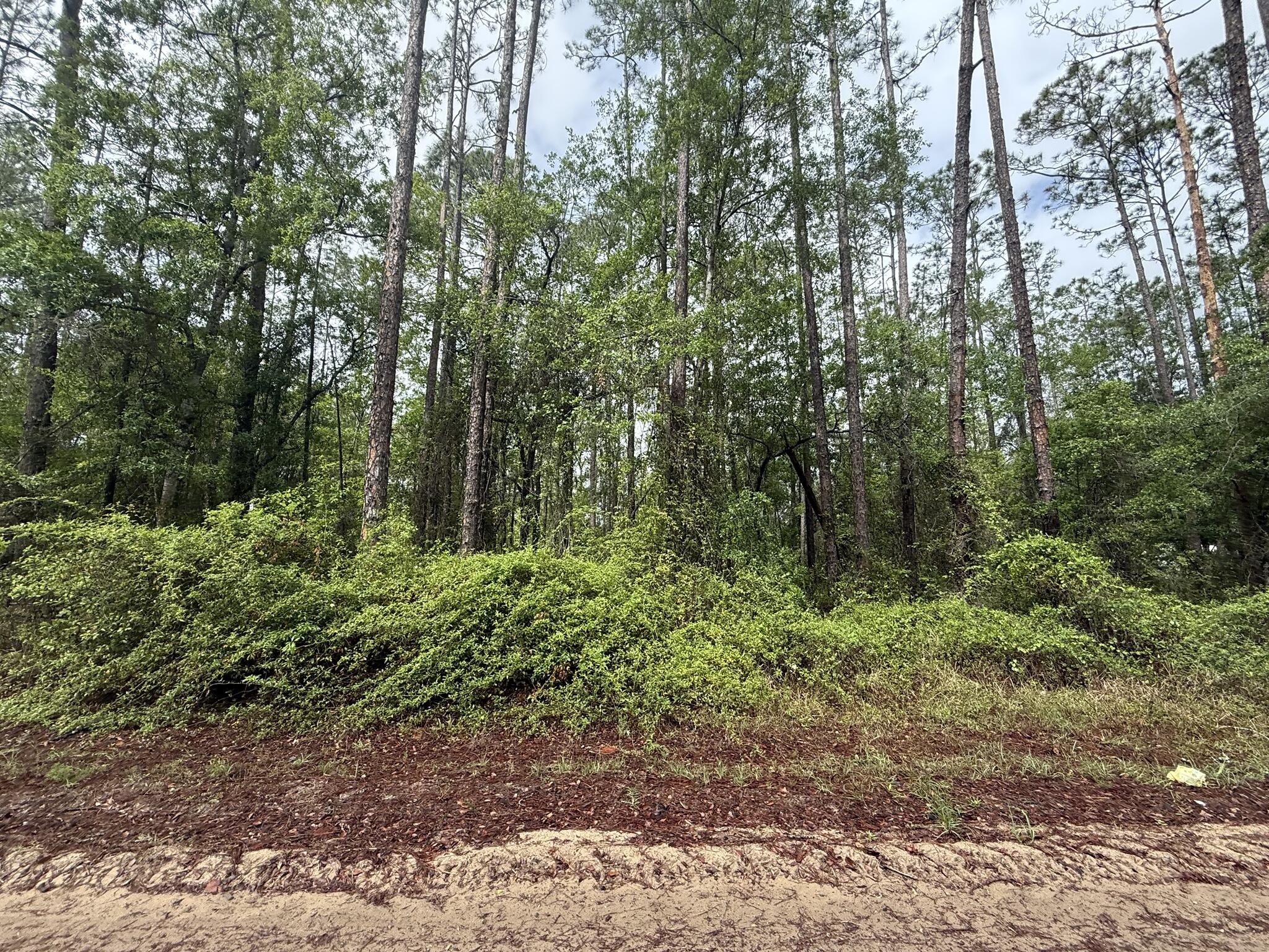 INTERLACHEN LAKES ESTATES - Land