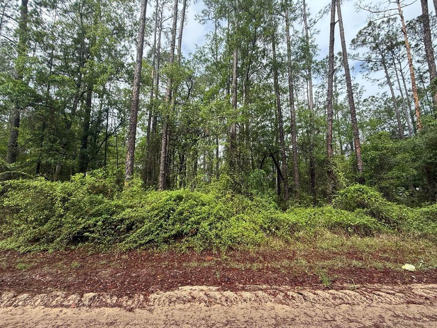 Great opportunity in Interlachen! Three parcels being sold together, totaling 0.63 acres, zoned R-2, offering flexibility for residential use. Whether you're looking to build a single-family home, place a mobile or manufactured home (buyer to verify), or invest for the future, this property provides plenty of space and potential. Located on Mullins Ave with easy access to local amenities, lakes, and outdoor recreation. Enjoy the quiet, rural feel while still being within reach of Palatka, Gainesville, and surrounding areas. Don't miss this affordable land opportunity in growing Putnam County.