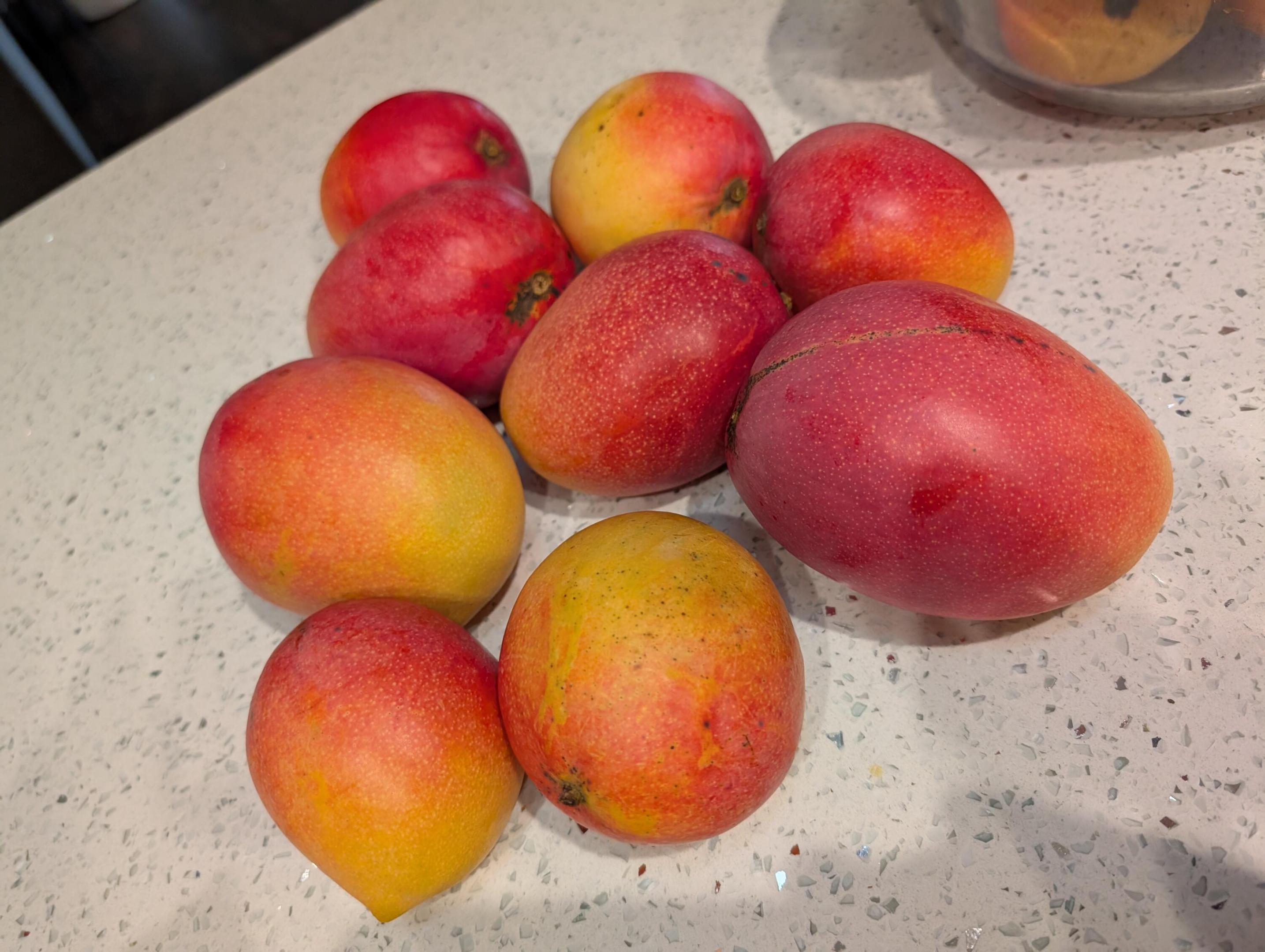 GREENVIEW SHORES 2 OF WELLINGTON - Residential