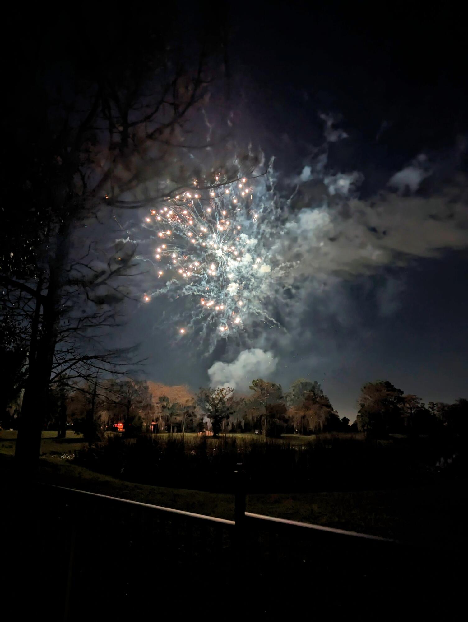 GREENVIEW SHORES 2 OF WELLINGTON - Residential