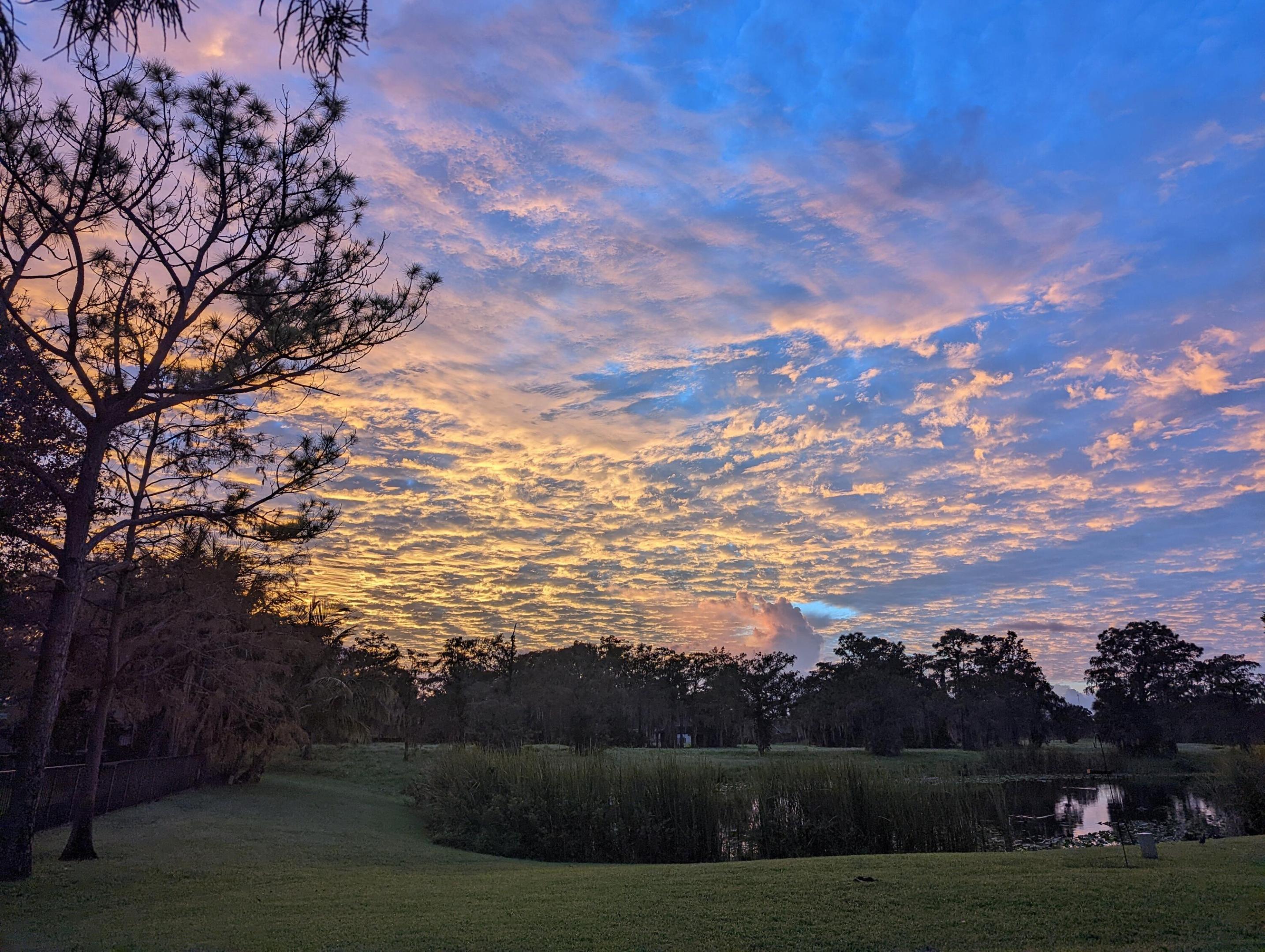 GREENVIEW SHORES 2 OF WELLINGTON - Residential