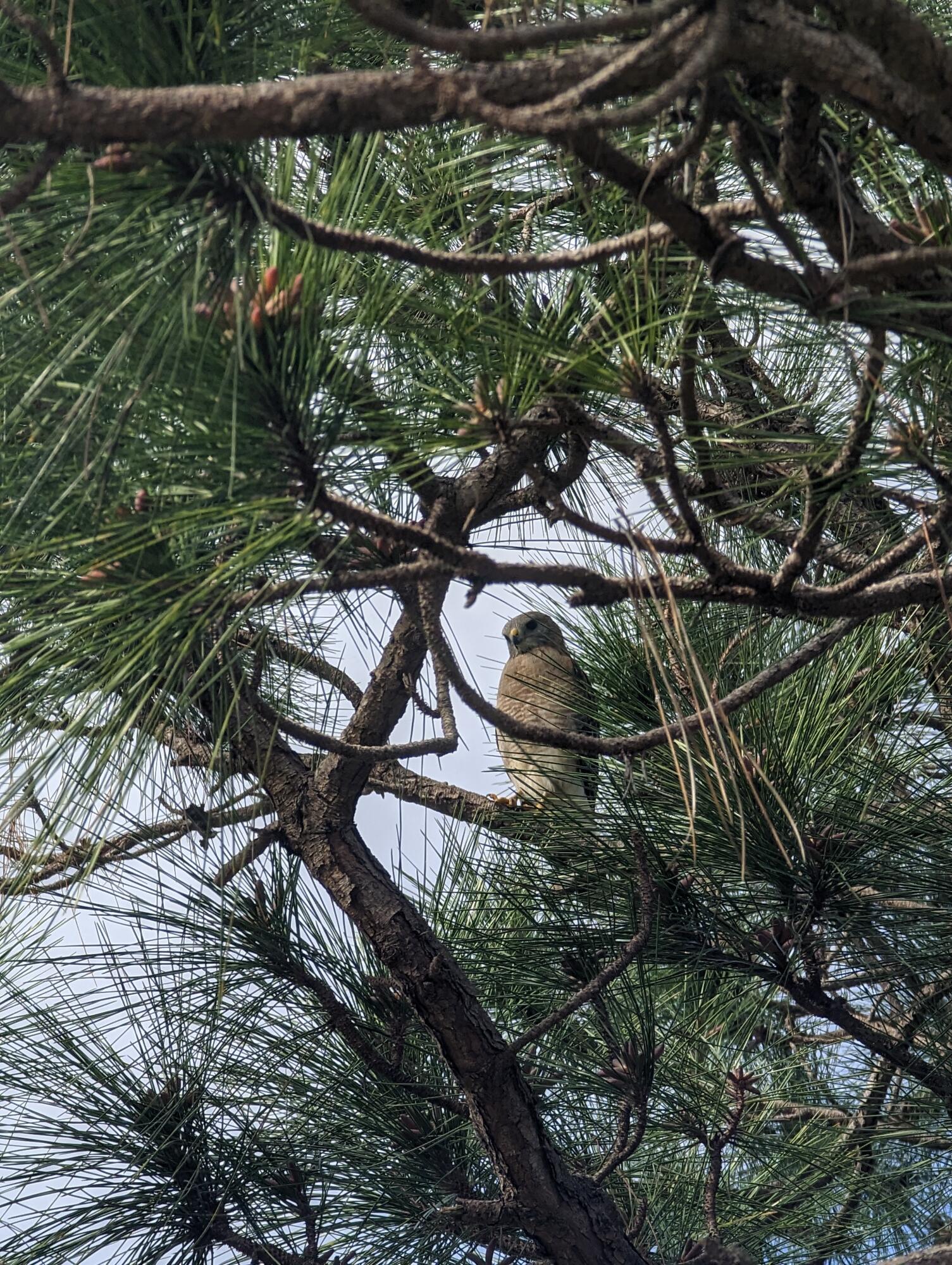 GREENVIEW SHORES 2 OF WELLINGTON - Residential