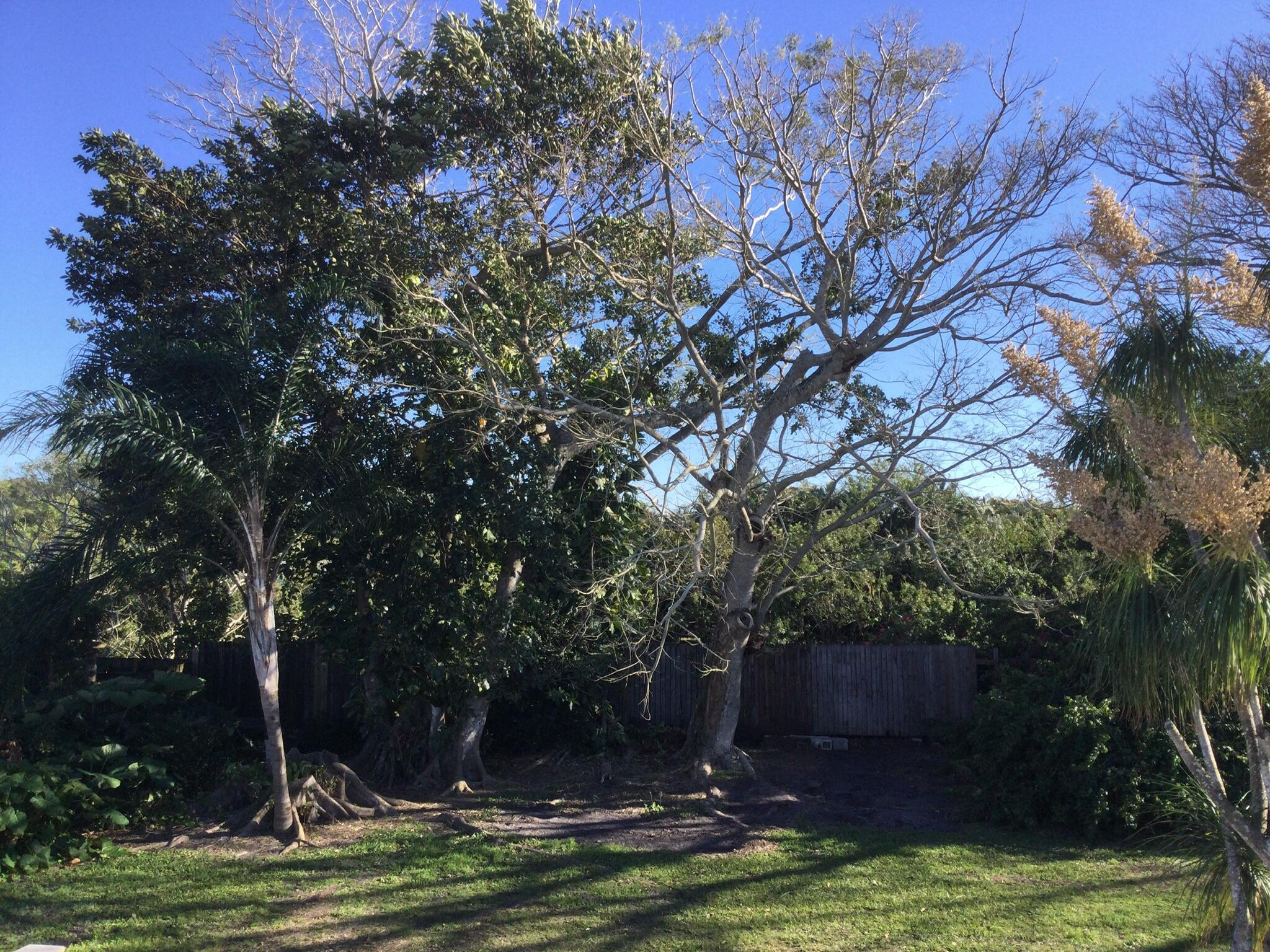 RIVER PARK UNIT 5 - Residential