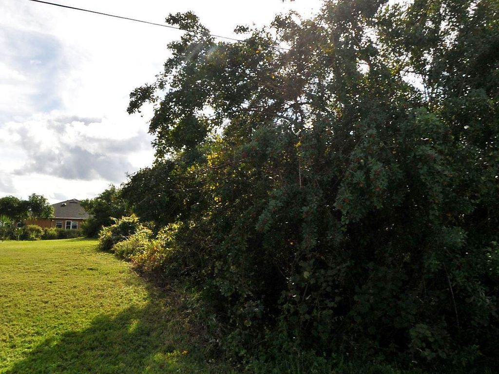 Photo of 642 SW Mccall Road, Port Saint Lucie, FL 34953 (MLS # R10860304)