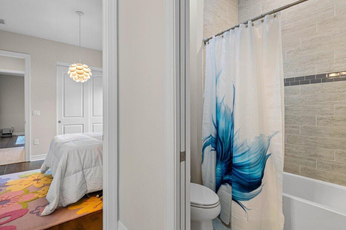 ANCIENT TREE - Residential