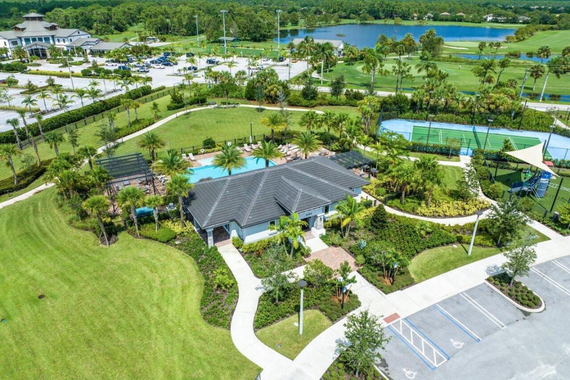 ANCIENT TREE - Residential