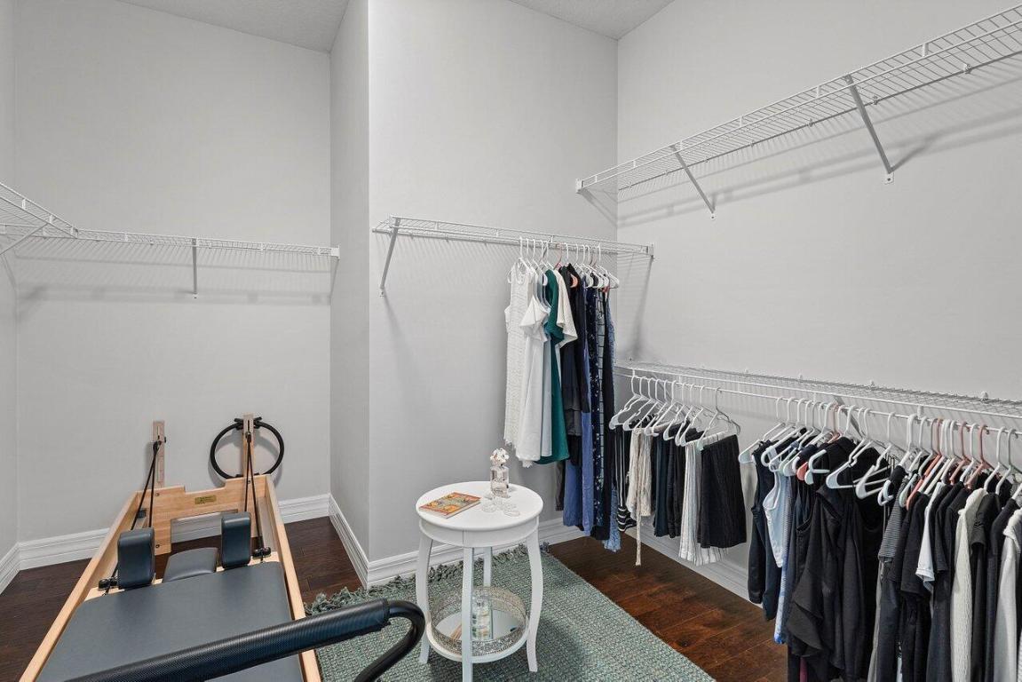 ANCIENT TREE - Residential