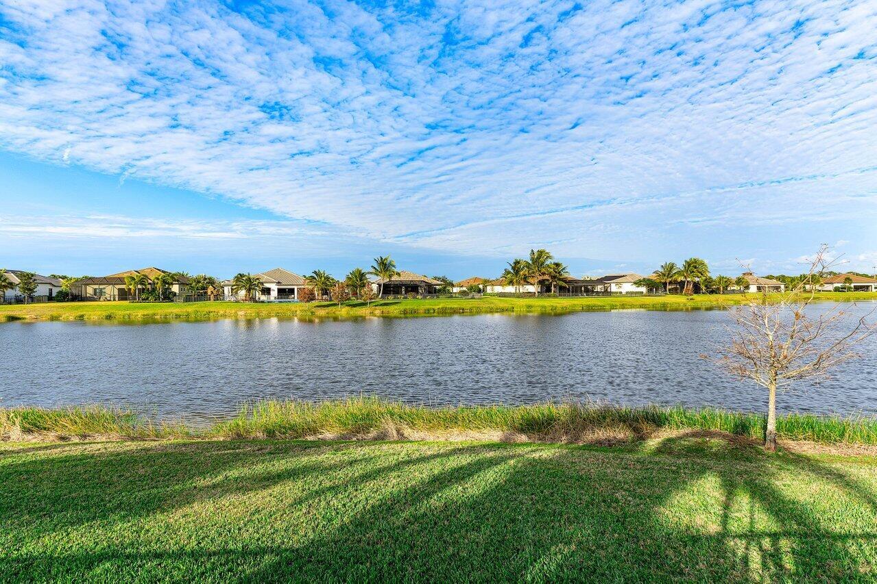 ANCIENT TREE - Residential