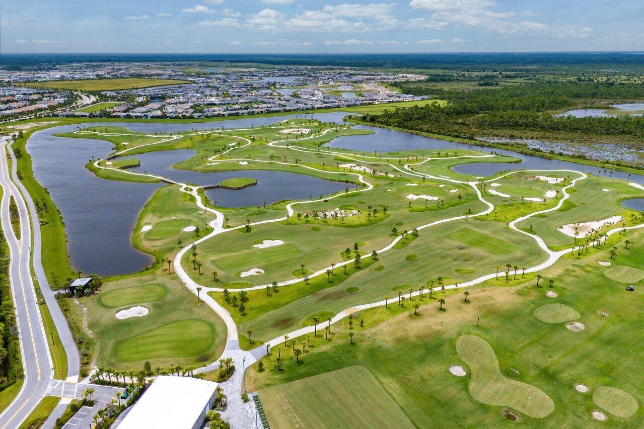 ANCIENT TREE - Residential