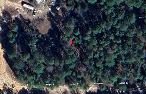 7244 Lehigh Drive Keystone Heights FL 32656