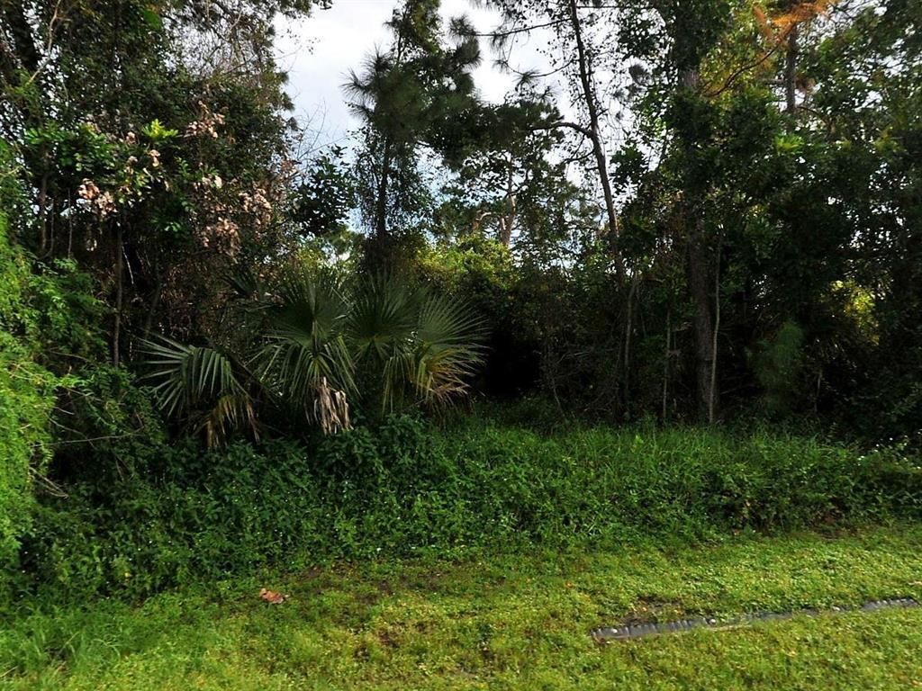 Photo of 802 SW General Patton Terrace, Port Saint Lucie, FL 34953 (MLS # R10726016)