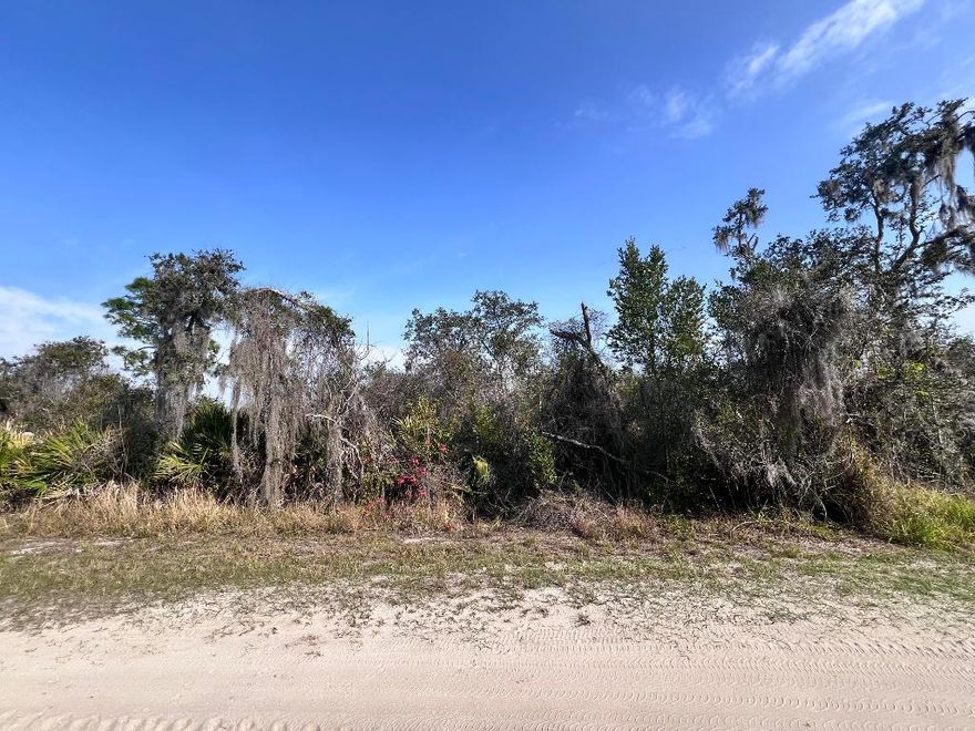 OWNER FINANCIAL AVAILABLE!! If you want to be close to everything, Sebring is the city in FL. This lot is near Orlando, Fort Myers, Okeechobee, and Port Charlotte. This is perfect for you, looking for a new town to start a new life and build your new home.