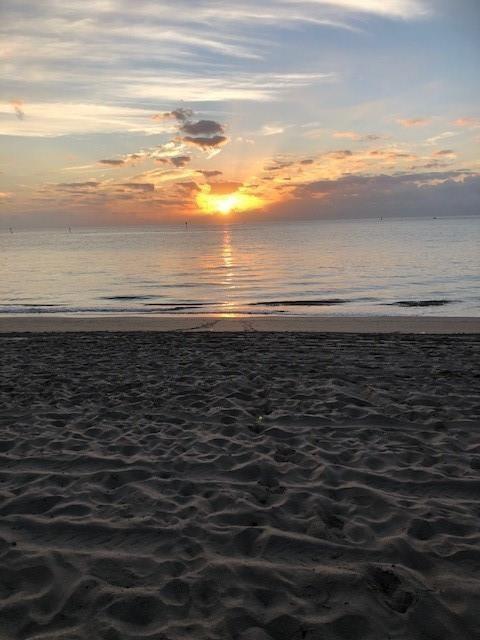 Seacrest Towers Condo - Residential Lease