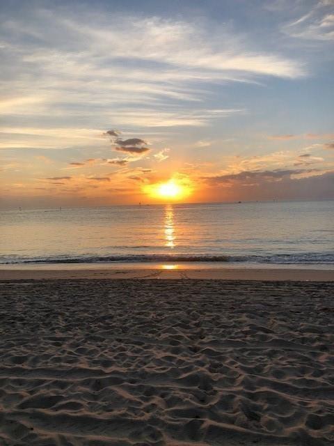 Seacrest Towers Condo - Residential Lease