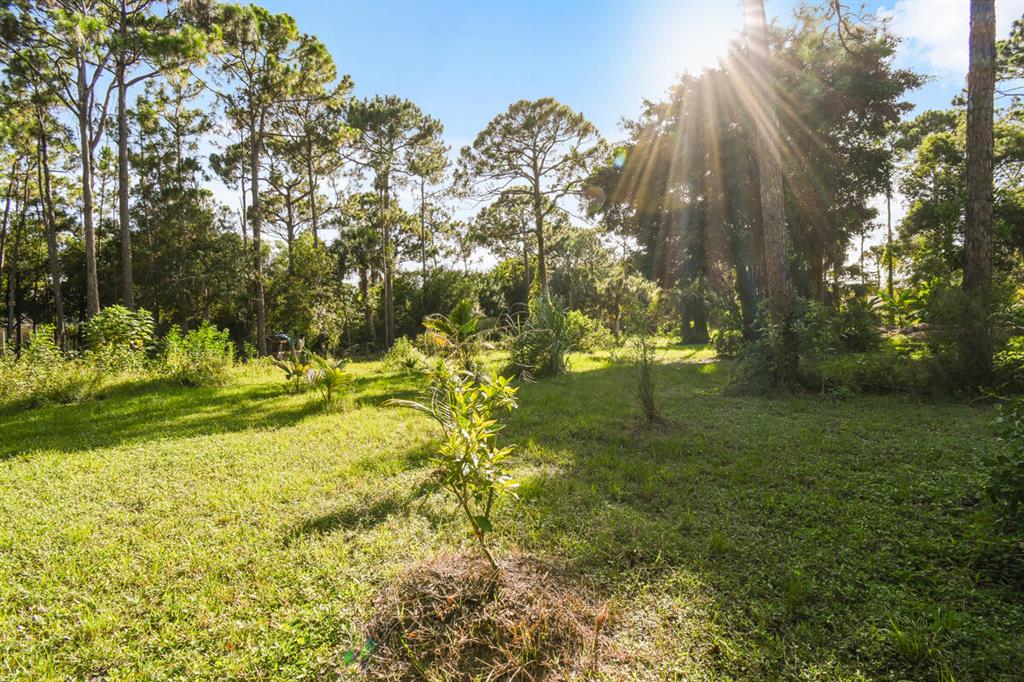 JUPITER FARMS - Residential
