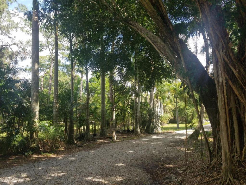 JUPITER FARMS - Residential