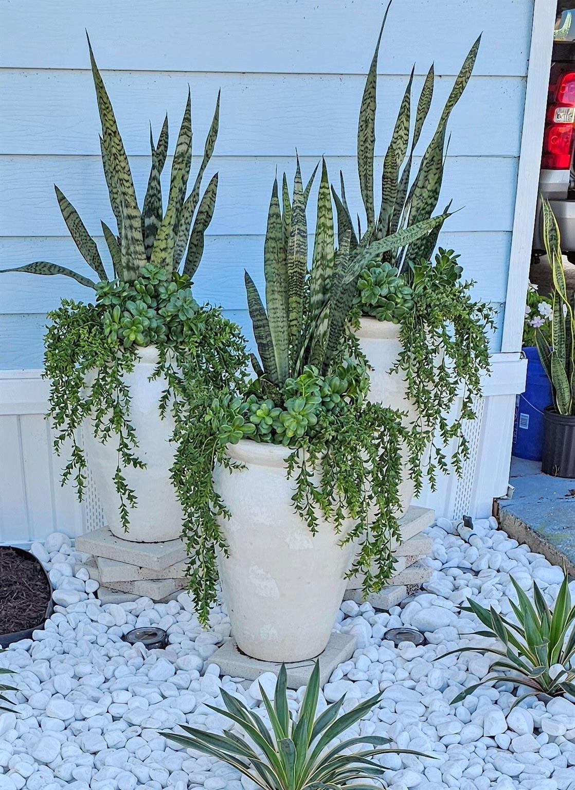 Spanish Lakes - Residential