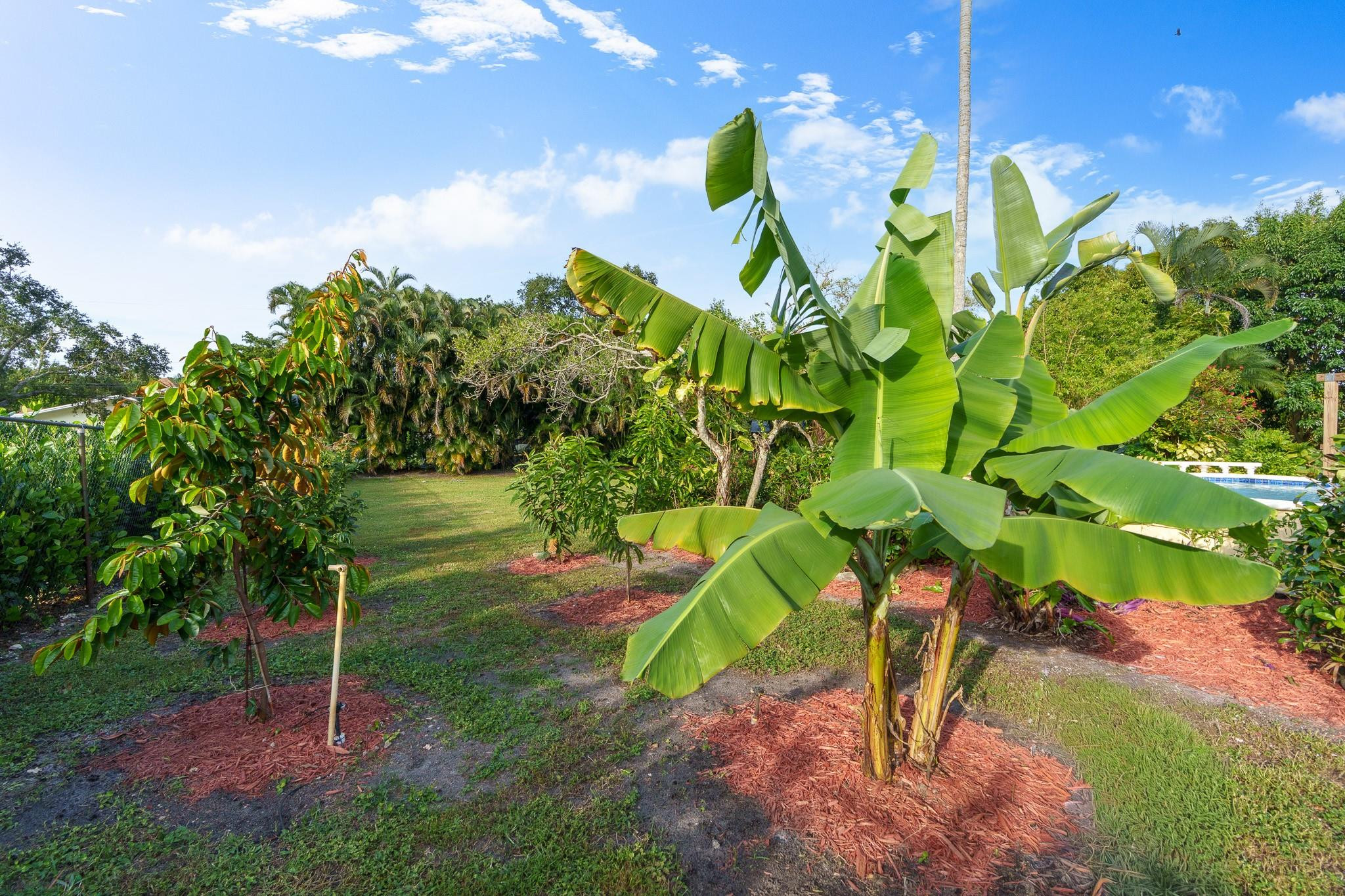 MC CALL NURSERY PLAT 1 - Residential