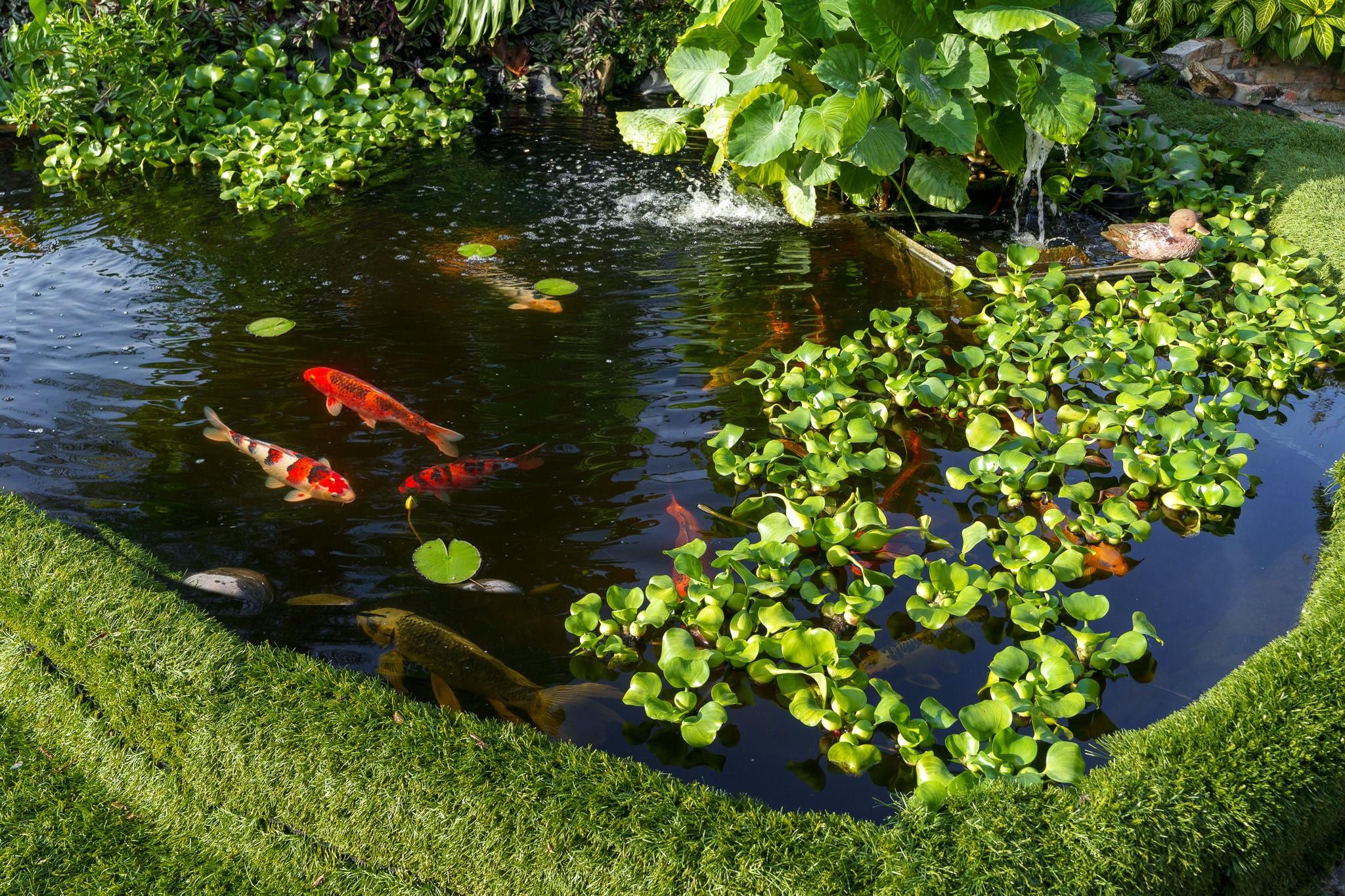 MC CALL NURSERY PLAT 1 - Residential