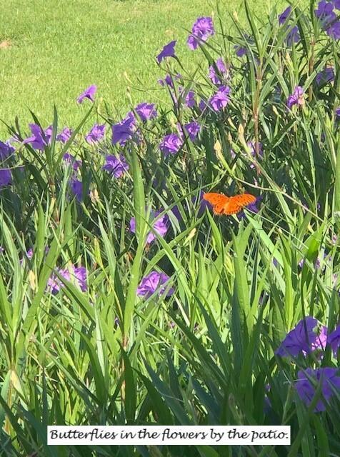 VALENCIA LAKES 3 - Residential