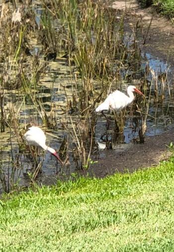 VALENCIA LAKES 3 - Residential