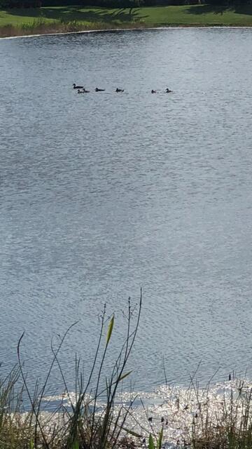 VALENCIA LAKES 3 - Residential