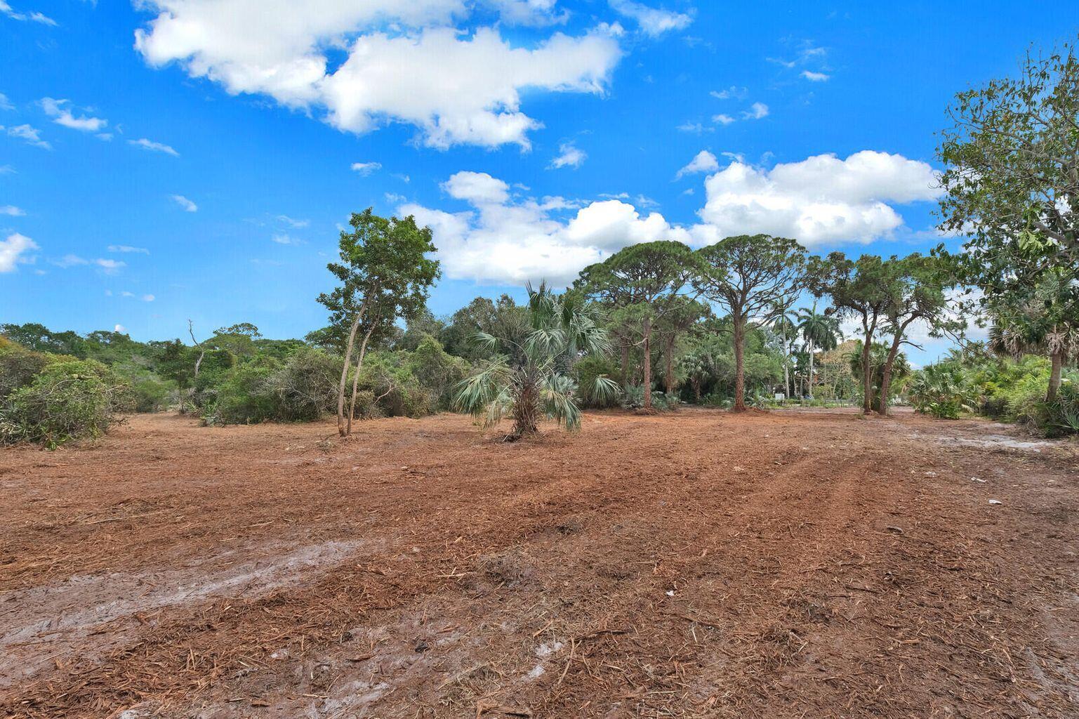 PINETREE DRIVE - Land