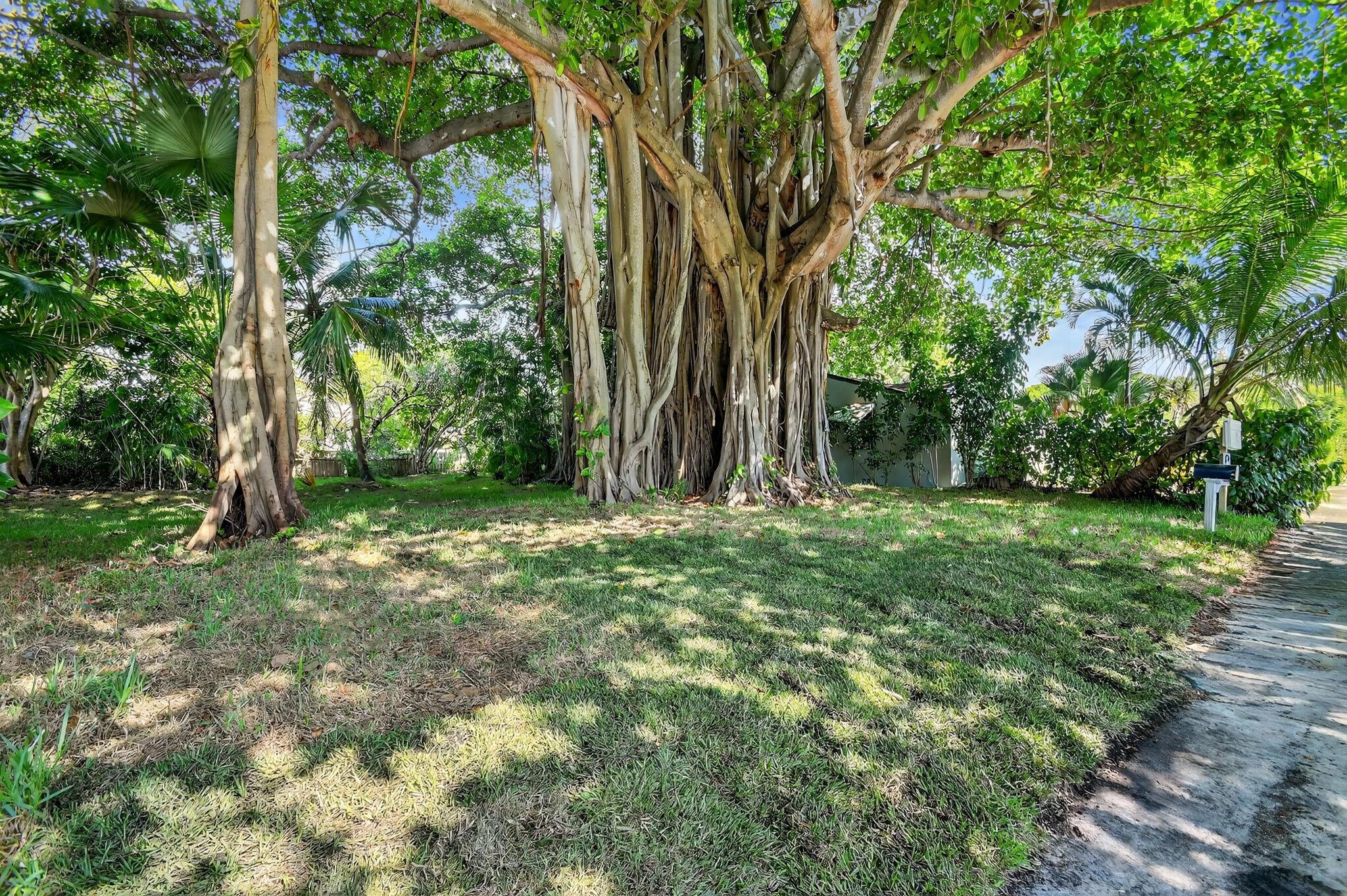 View photos, virtual tours, details... 523 S M 1 Street 1