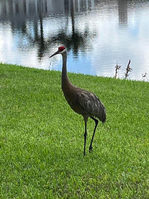 Tiny photo for 17921 Villa Club Way, Boca Raton, FL 33496 (MLS # B26013789)