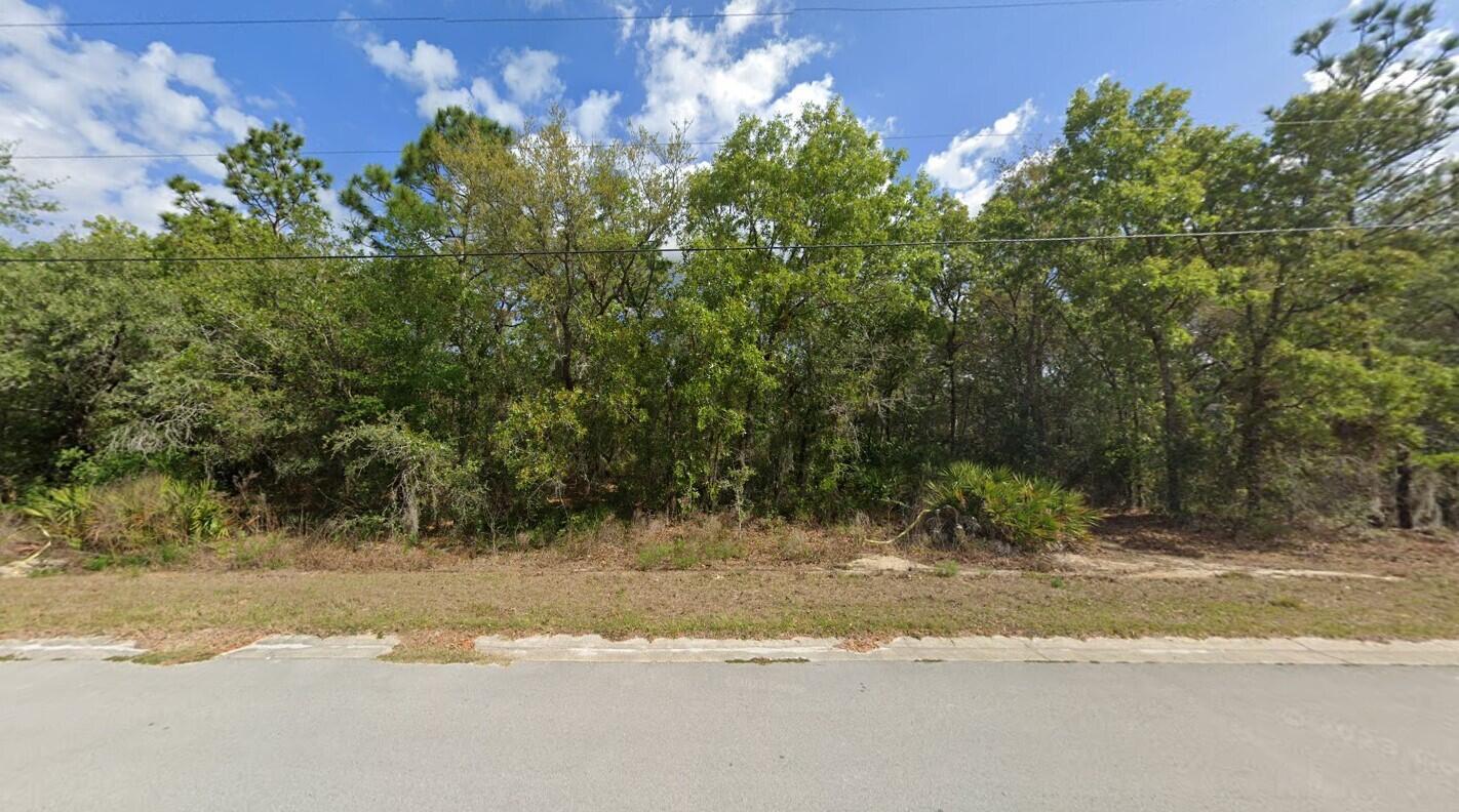 Build your dream home to this beautiful high and dry lot in desirable Oakdale Estates in Homosassa, FL. No HOA or deed restrictions. This location is just minutes to get to all the nearest shops or restaurants in town and just a short drive to the Suncoast Parkway to be in the big cities like Tampa or St. Pete!! If you love being near the water, then this is the perfect lot for you. It is a short drive to the Homosassa Springs, Crystal River, and the Gulf. This property won't last long! Call today to make it your own.