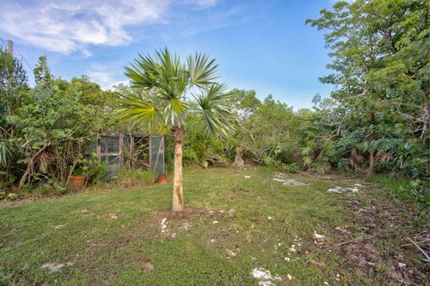 A home in Big Pine Key