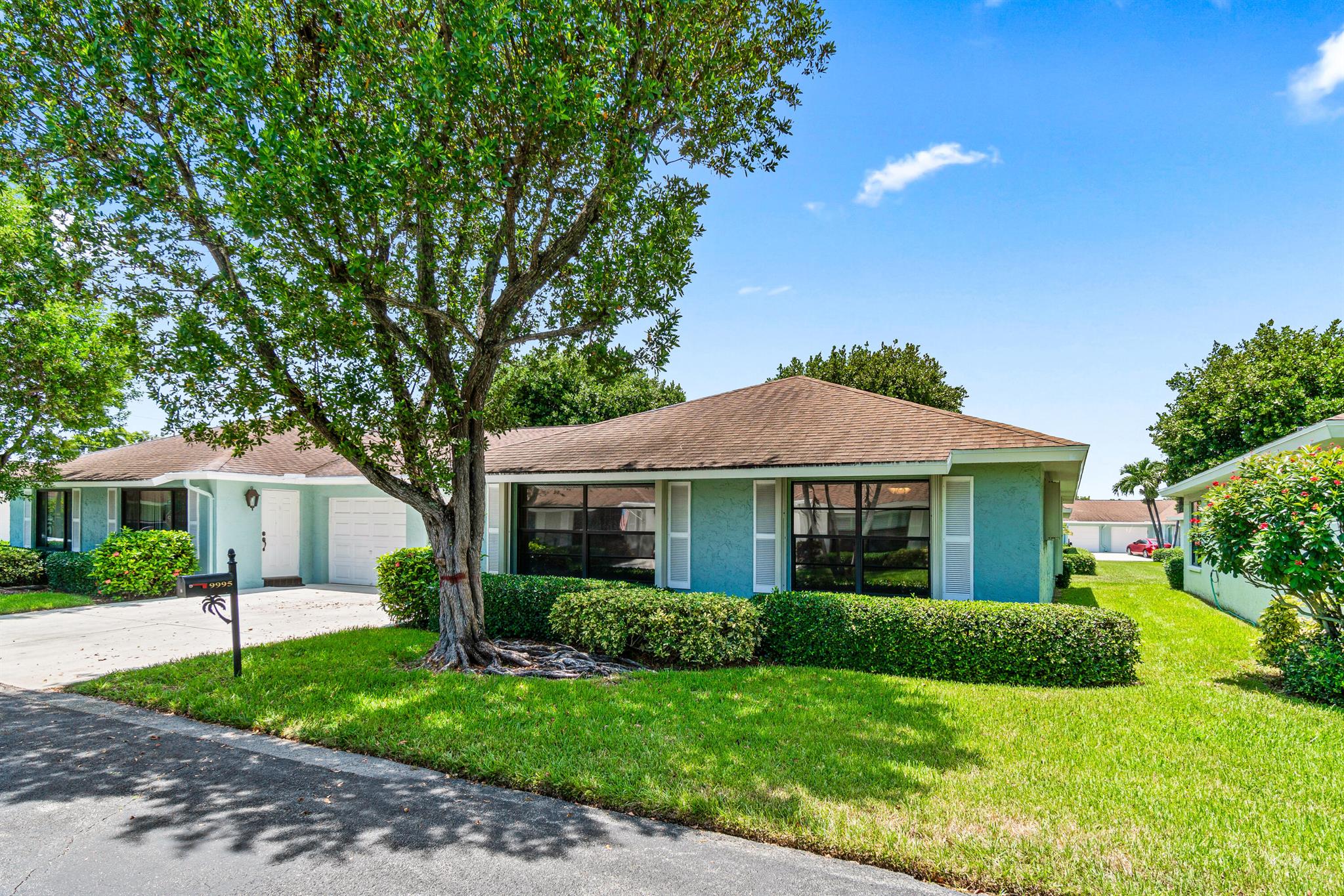 9995 Ligustrum Tree Way B