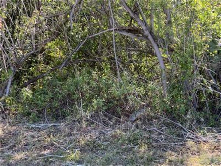 Great corner lot centrally located. Newer home all around.