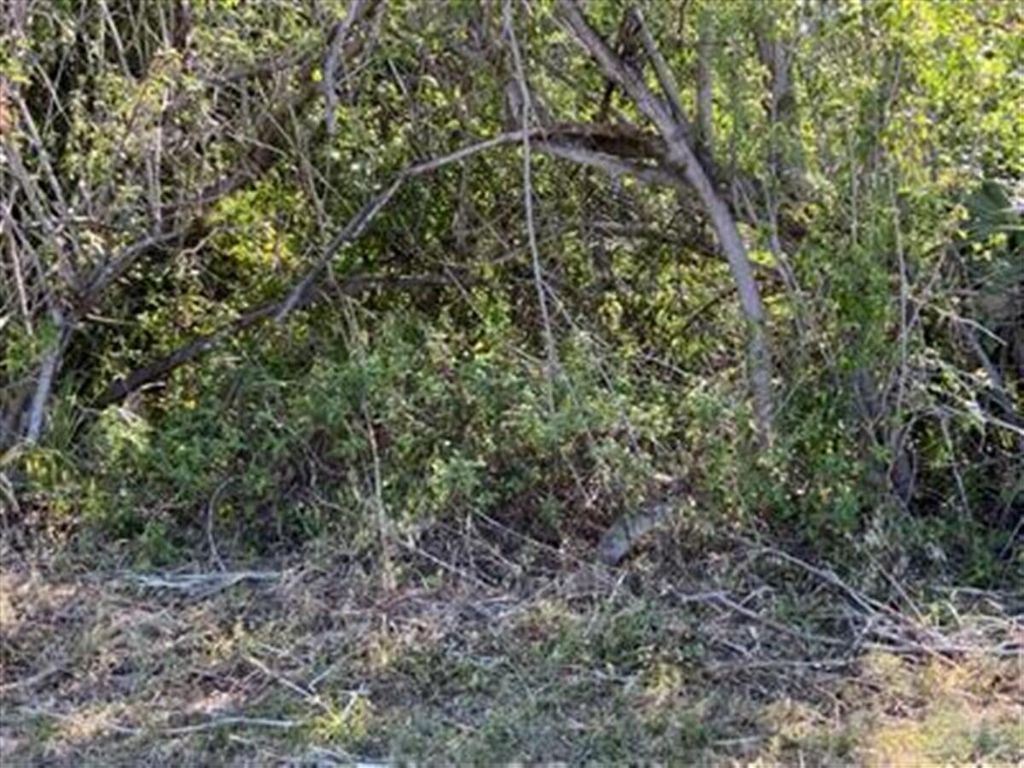 Photo of 3965 SW Mccain Street, Port Saint Lucie, FL 34953 (MLS # R11129442)