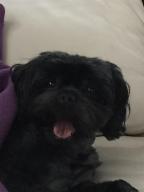 LIMETREE CONDO - Residential