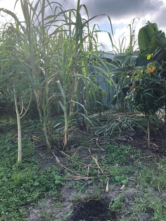 River Park Unit 03 - Residential