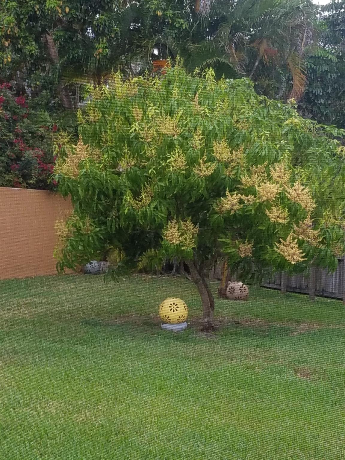 City Of Lauderhill Sec Th - Residential