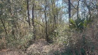 This versatile .32-acre property offers the perfect space for your dream home or small agricultural project. Zoned for both uses, it's ideal for building, gardening, or raising small livestock. What's Nearby:- Close to Lake Grandin and other lakes for fishing and boating. - Just 5 minutes to downtown Interlachen for shopping and dining. - Convenient access to State Road 20 for trips to Gainesville, Palatka, and Ocala. Create your ideal retreat in this peaceful and well-located property!