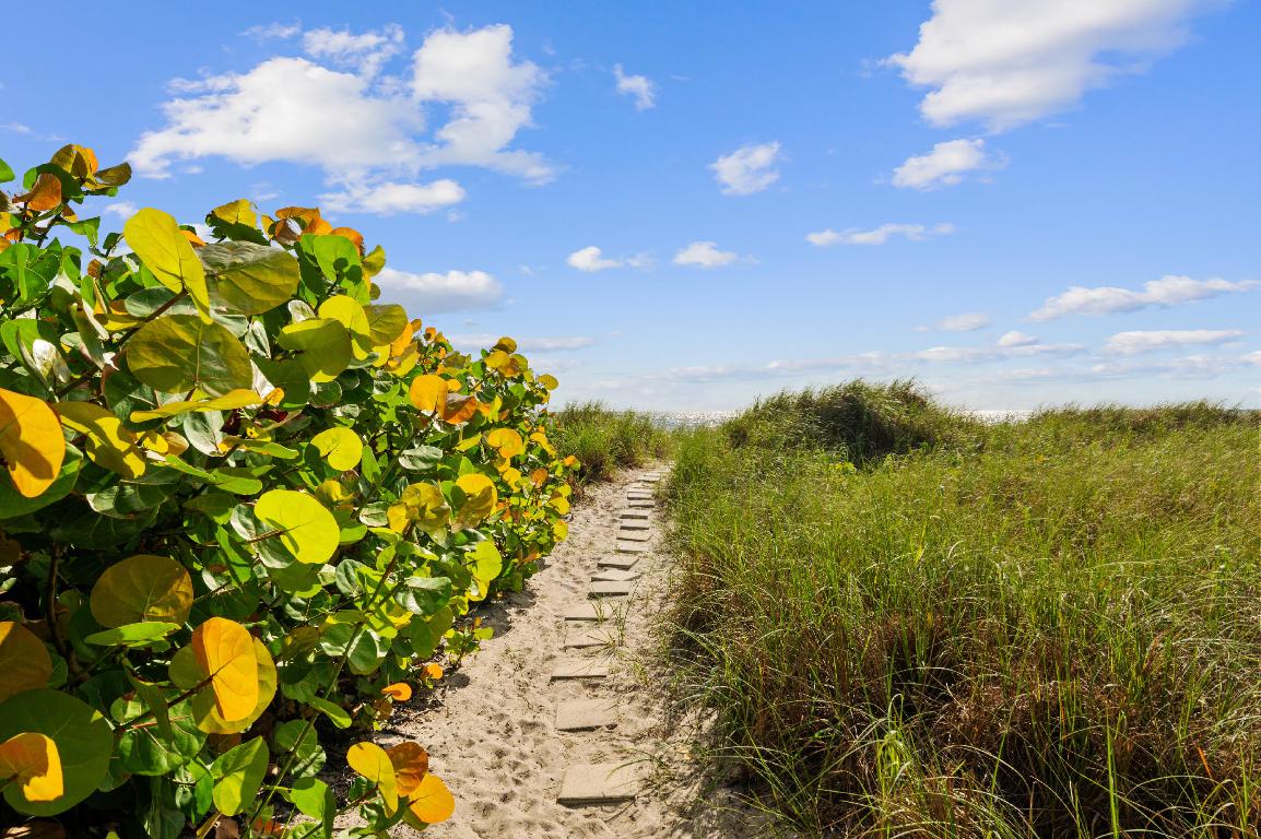 Coastal House - Residential