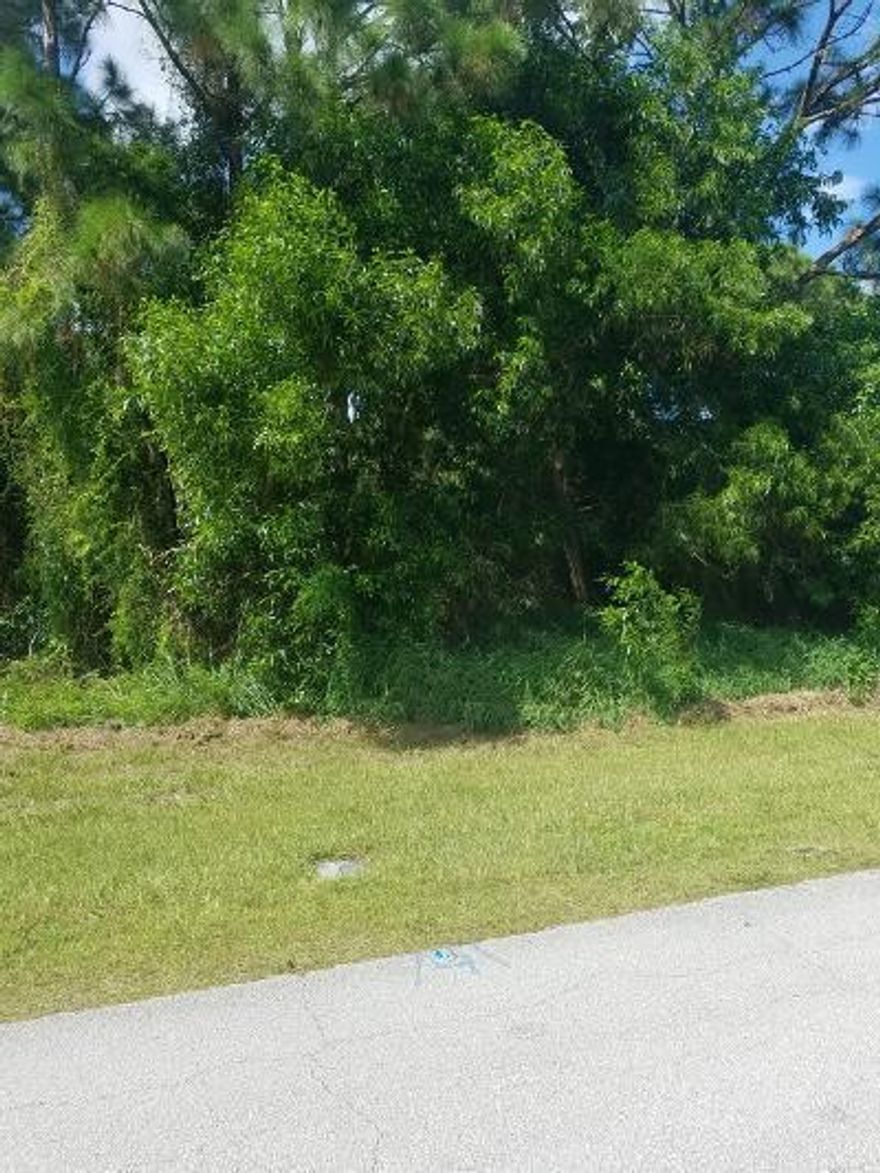 Corner lot in a quiet neighborhood, yet minutes from the Interstate. Over a third of an acre, close to beaches, theaters and the NY Mets Spring Training!