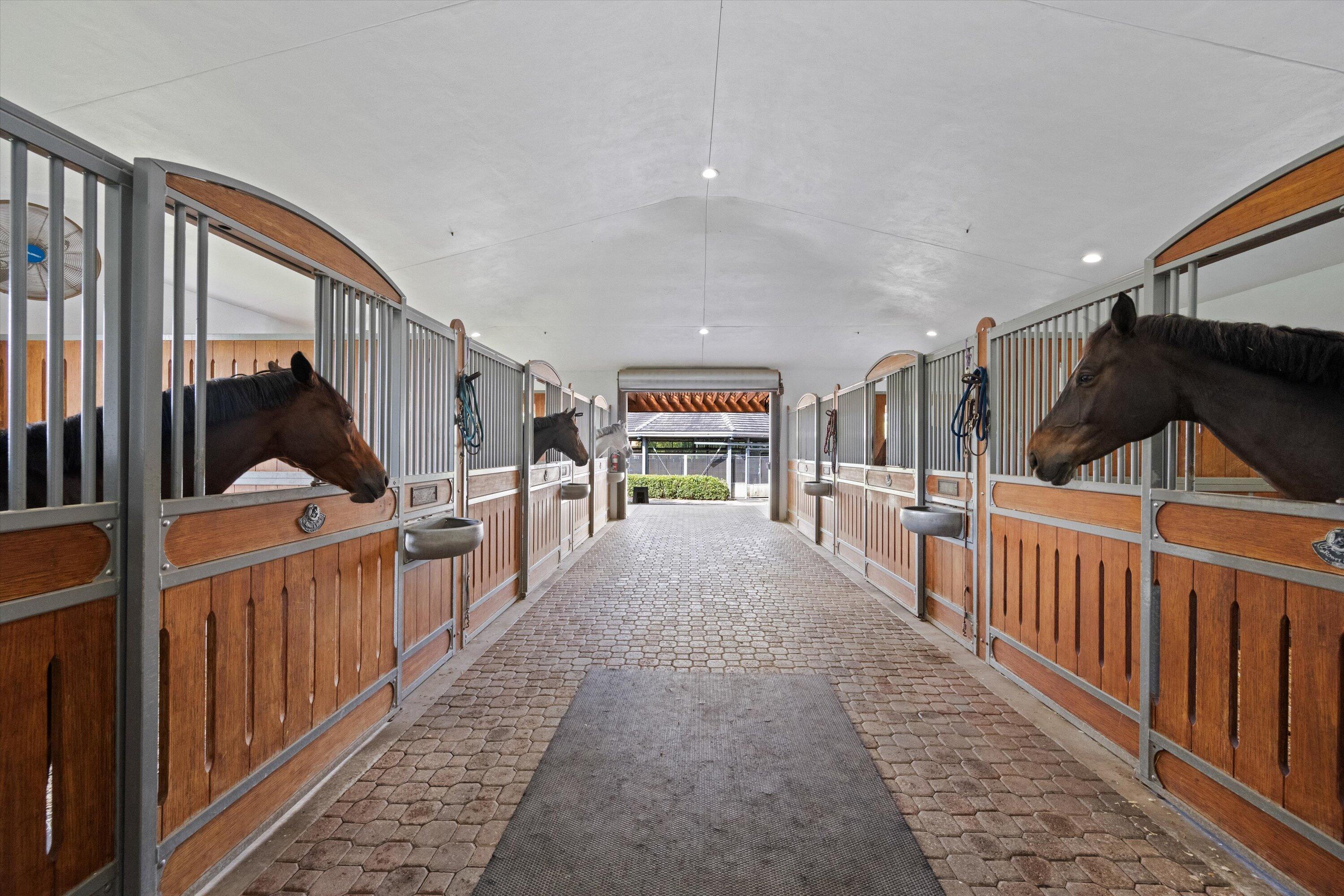 SADDLE TRAIL PARK OF WELLINGTON - Residential