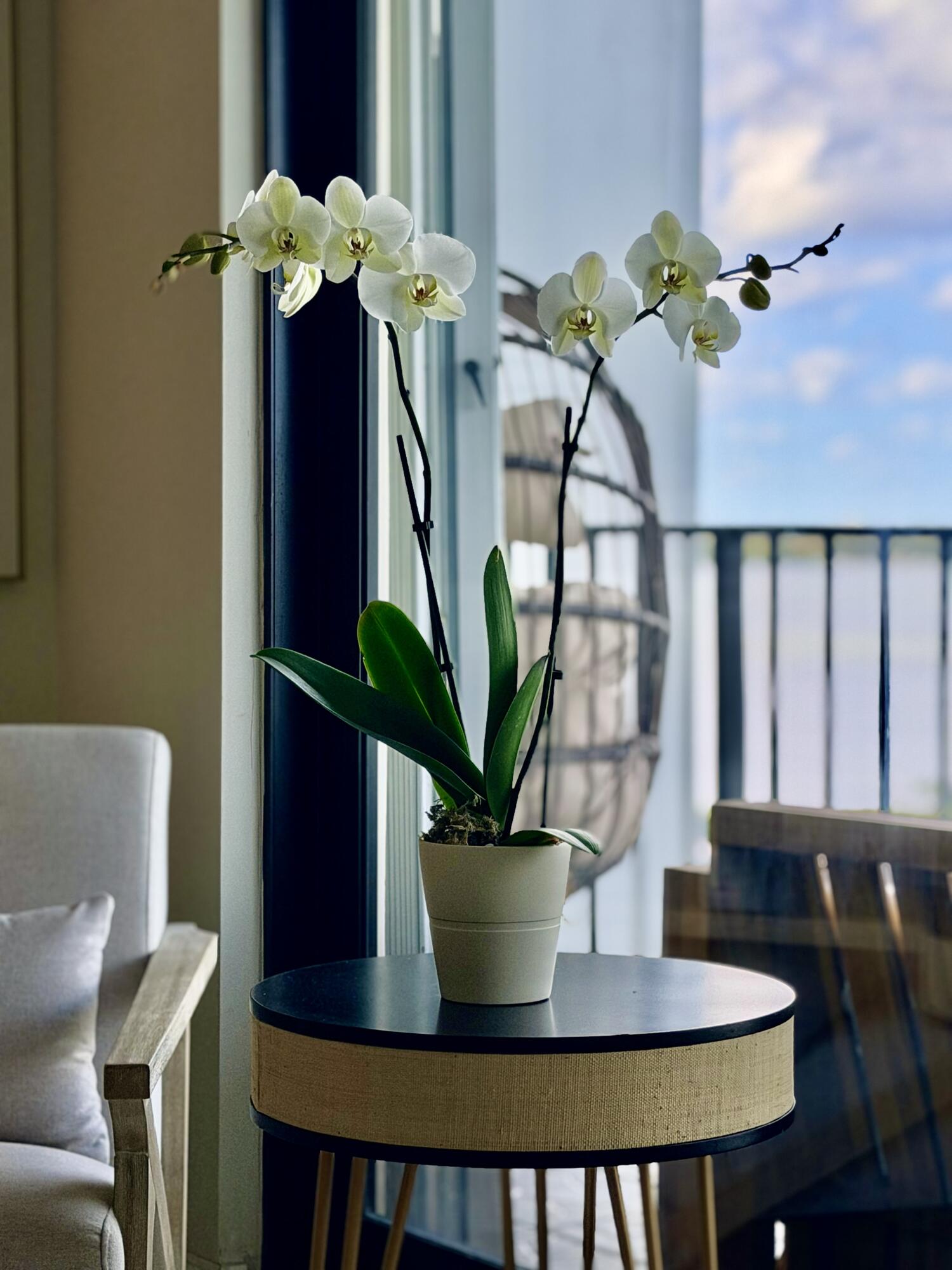 CLARIDGES II CONDO - Residential